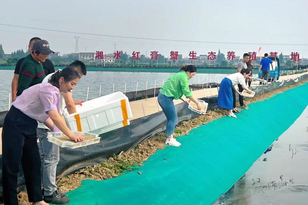 鹤龙湖镇图片