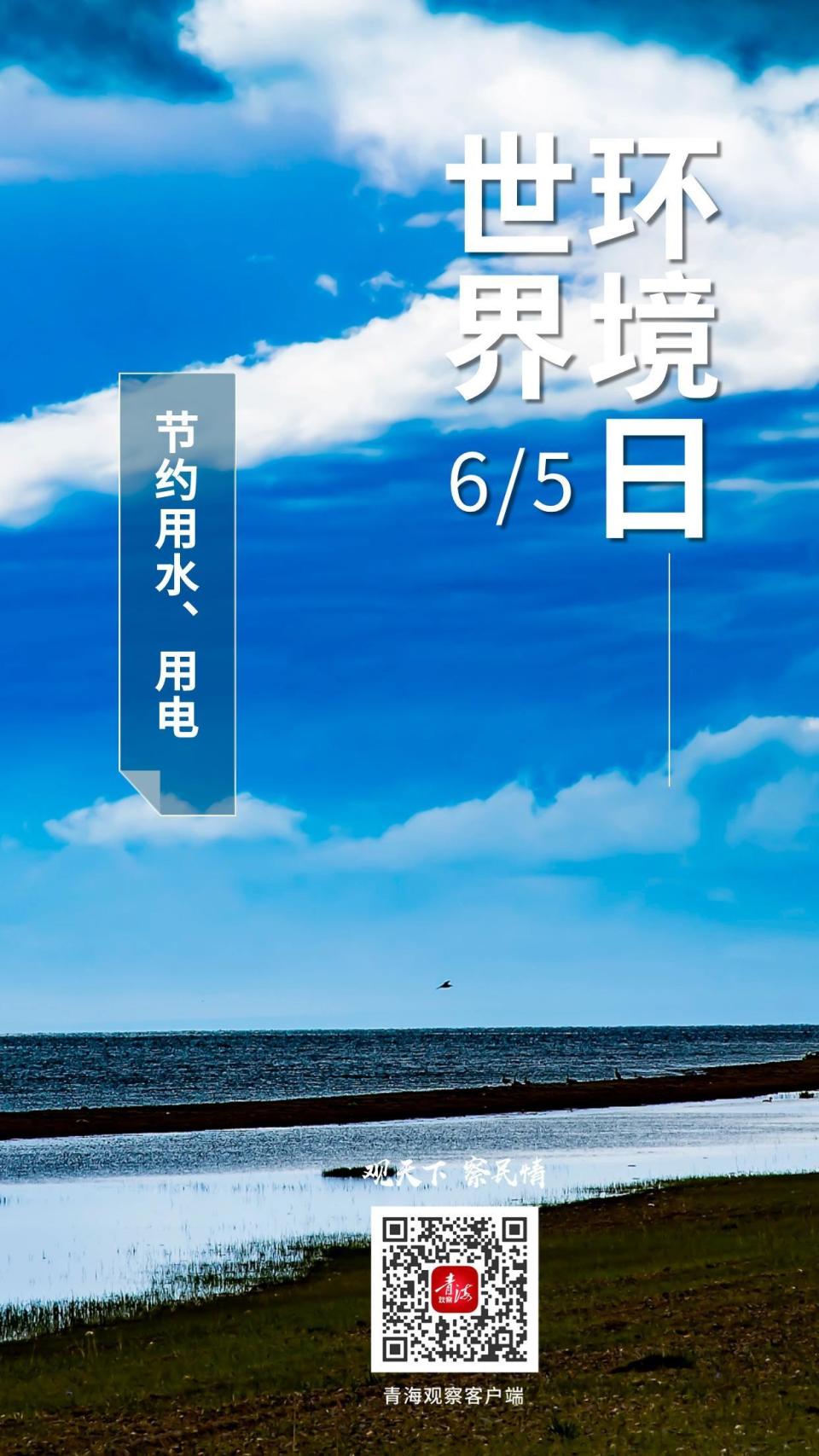 海报 | 【世界环境日】保护环境,我们可以这样做!