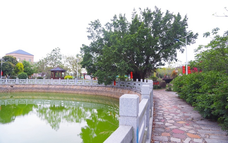 整治人居小环境擦亮乡村高颜值福建漳浦县五拆六清攻坚行动显成效