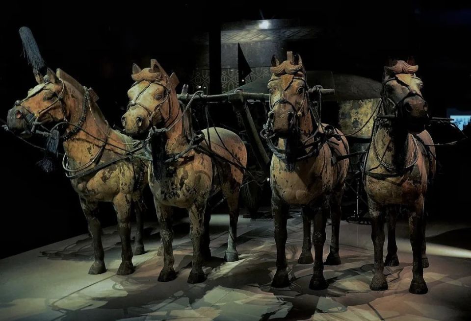 第一批禁止出国(境)展览文物系列（十五）铜车马（秦始皇陵博物馆