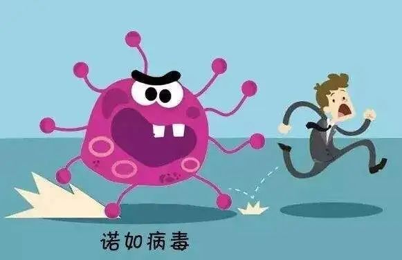 又是诺如病毒感染?