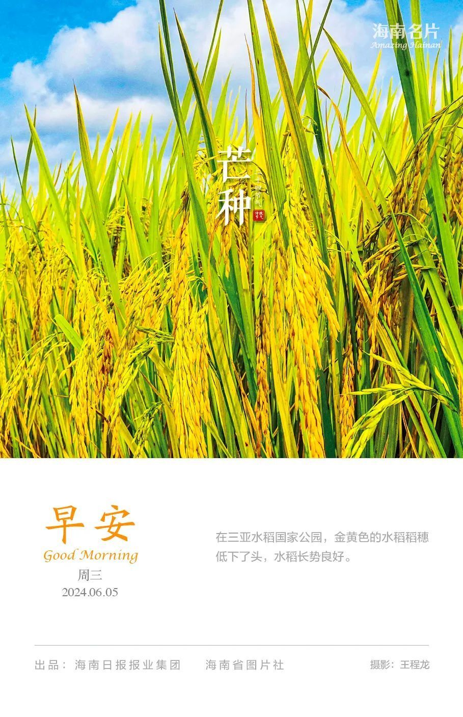 早安自贸港|儋州环新英湾黄冈高级实验中学计划9月投用