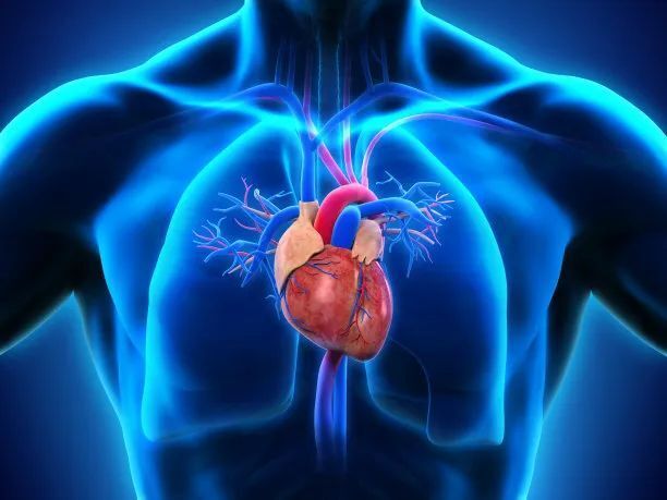 复旦大学葛均波院士,孙爱军教授等团队发布缺血性心脏病机制研究方面
