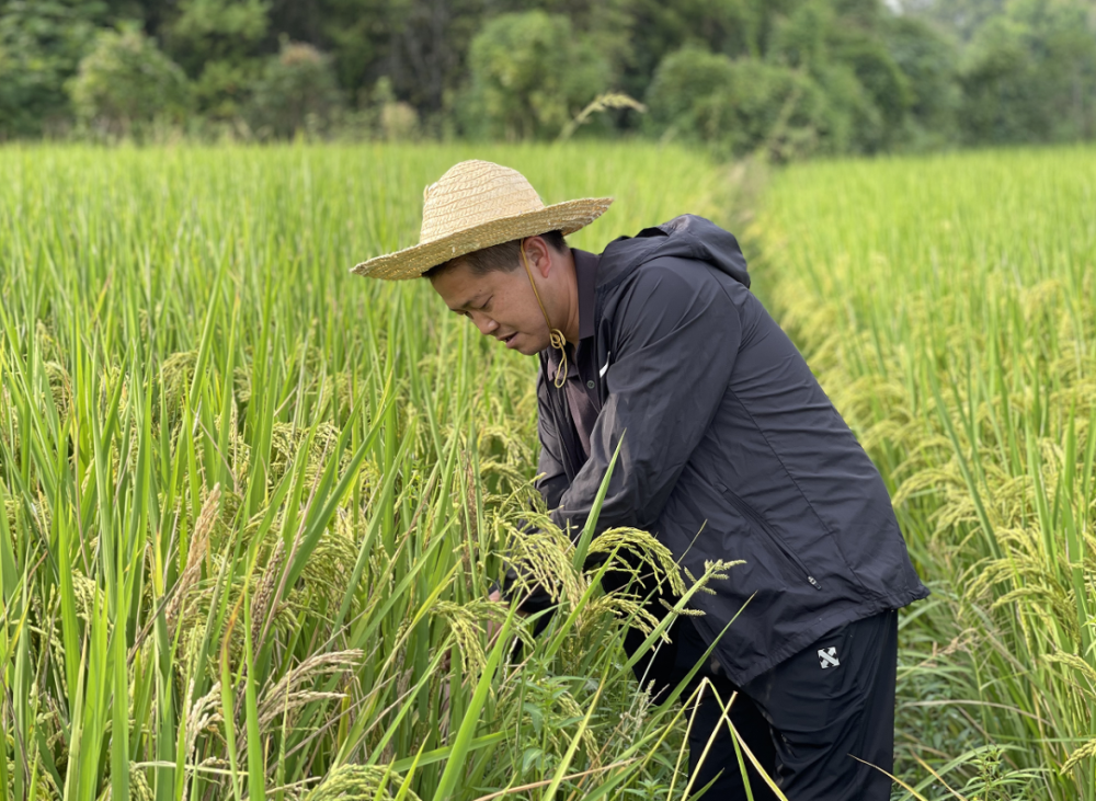 农人网，农人网下载