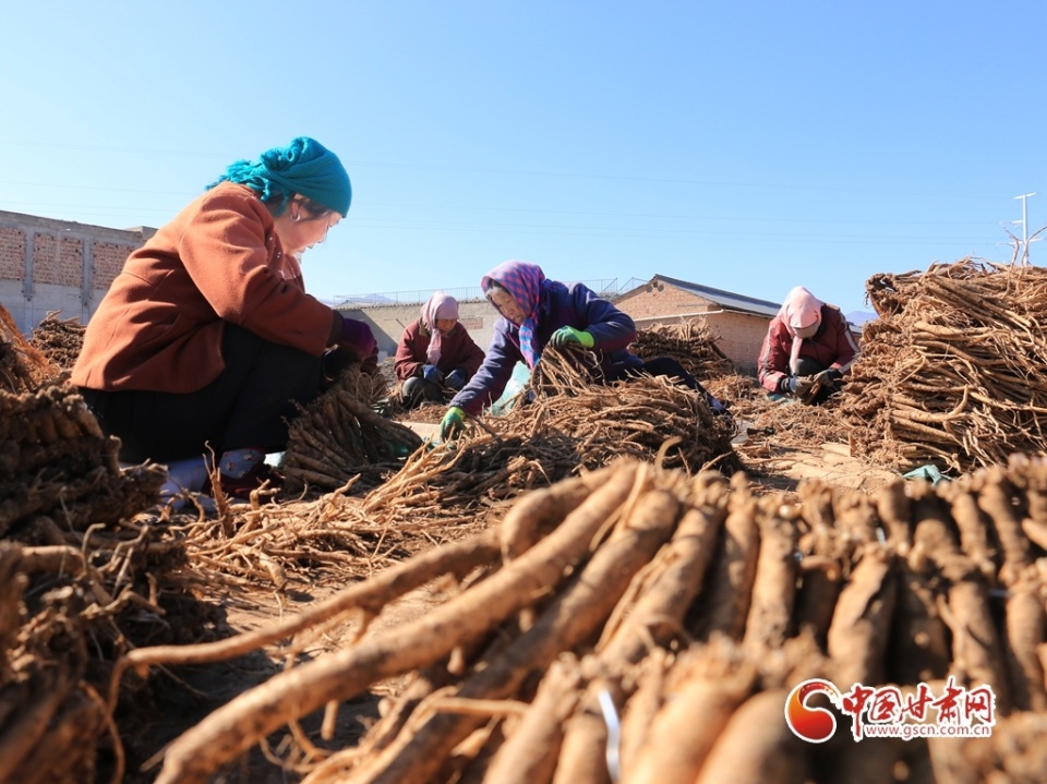 【陇拍客】岷县十里镇:"千年药乡"药飘香_腾讯新闻