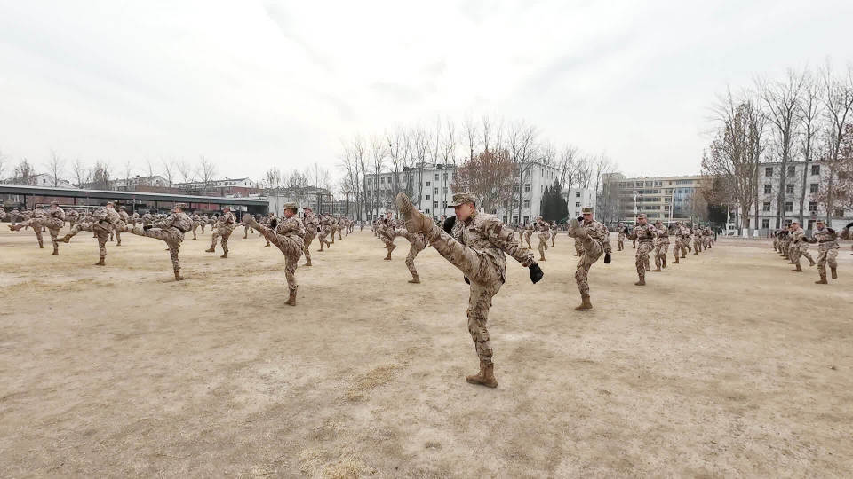 武警北京总队某支队:练兵备战,士气如虹_腾讯新闻