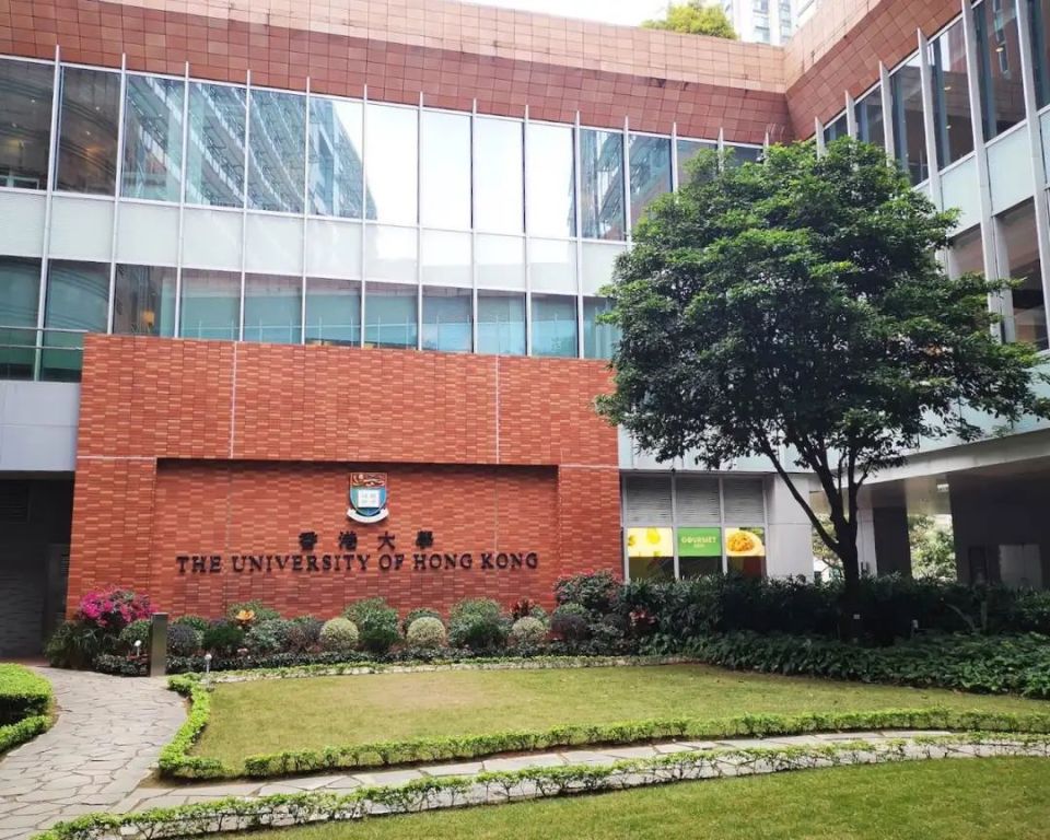 04除此之外,香港大学毕业生中97.