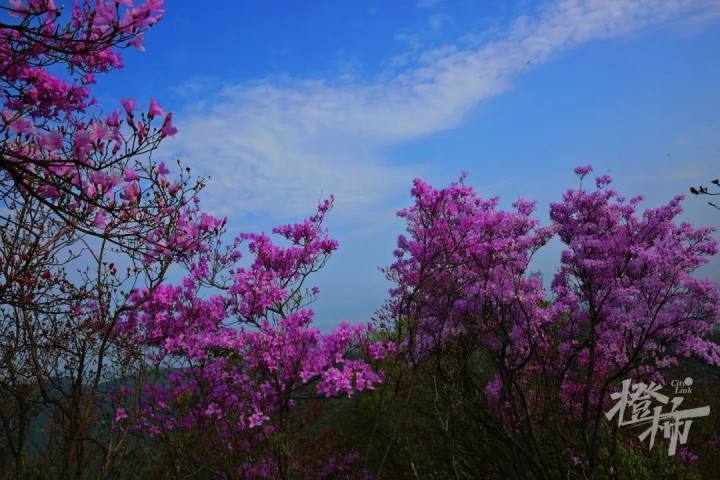 不止富阳,还有余杭,临平,桐庐,淳安……_腾讯新闻