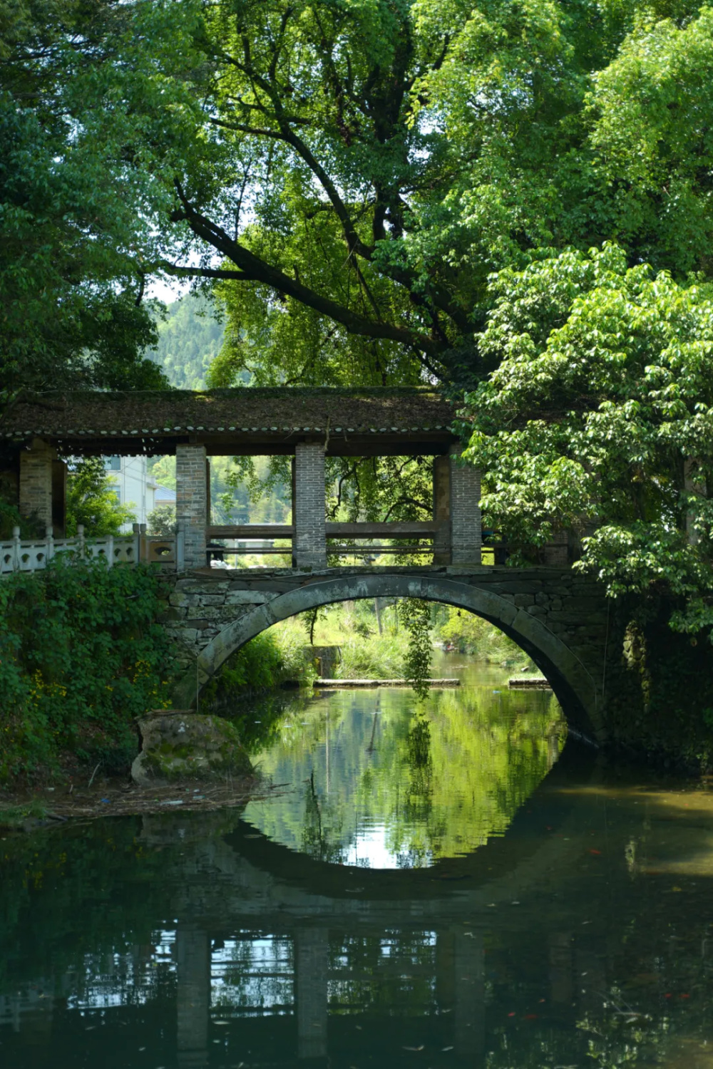 我的宝藏家乡| 江西这座又文艺又"土"的小城,艺术家扎堆定居!
