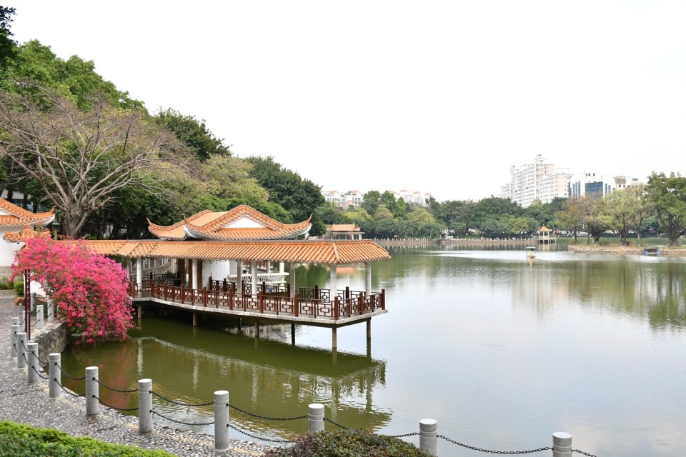 东莞莞城春日踏青赏花正当时