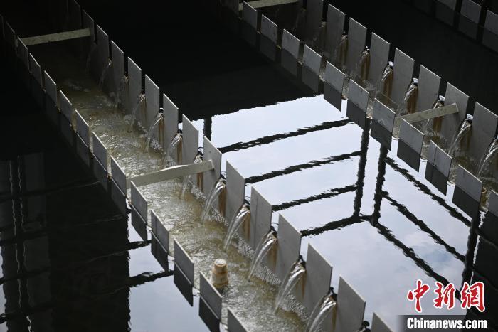 重庆每天可处理城市生活污水470余万吨