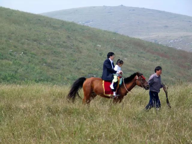 河南人也有自己的"阿勒泰"05