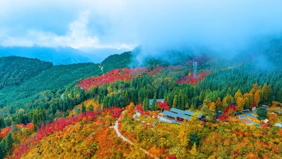 川西红枫岭星空木屋图片