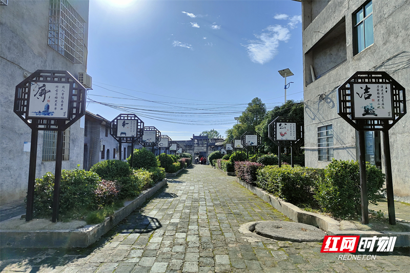 嘉禾县珠泉镇:打好美村富村"组合拳" 绘就乡村振兴"新画卷"