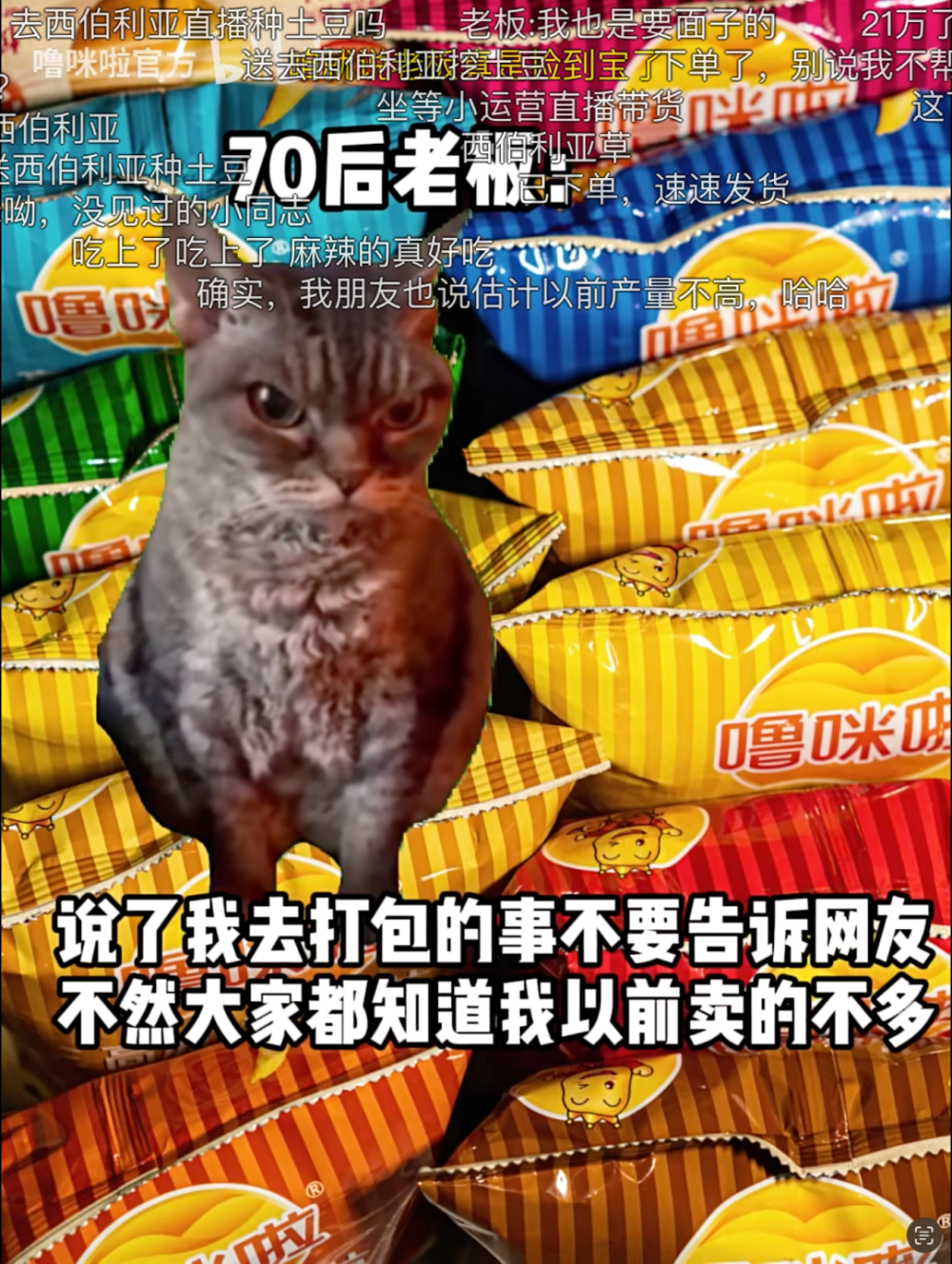 刷屏的猫meme营销:中小企业的挣扎与抵抗
