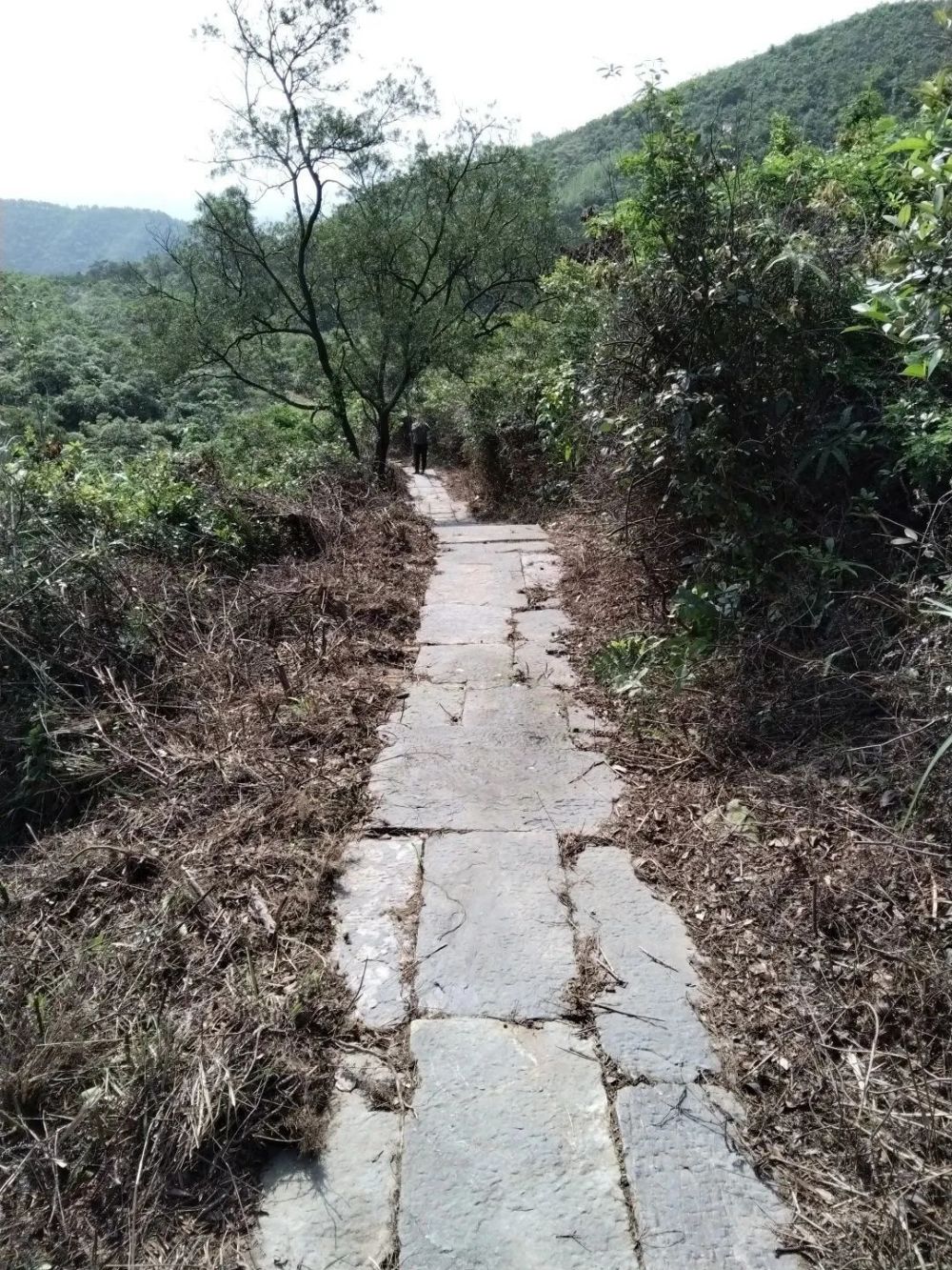 鹤山市"千里步道"项目启动|彩虹岭古驿道:链接新时代 焕发新光彩_腾讯