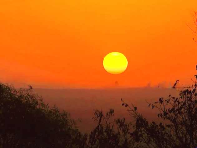 一点庆阳 陇上名家散文 | 落日归山的黄昏(文/牛旭斌 诵/米玲)