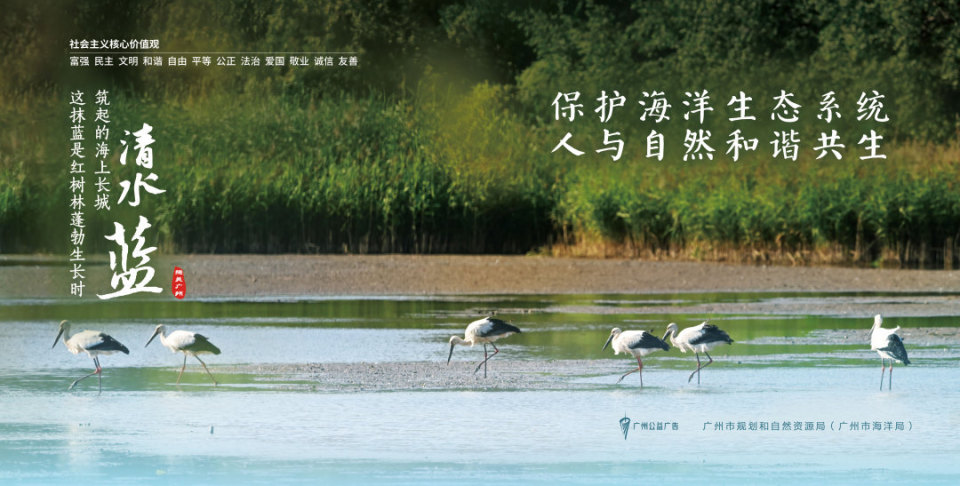 公益广告丨保护海洋生态系统 人与自然和谐共生_腾讯新闻