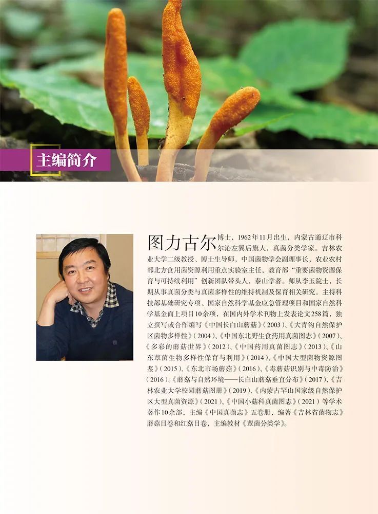 图力古尔教授:我为家乡的蘑菇代言_腾讯新闻