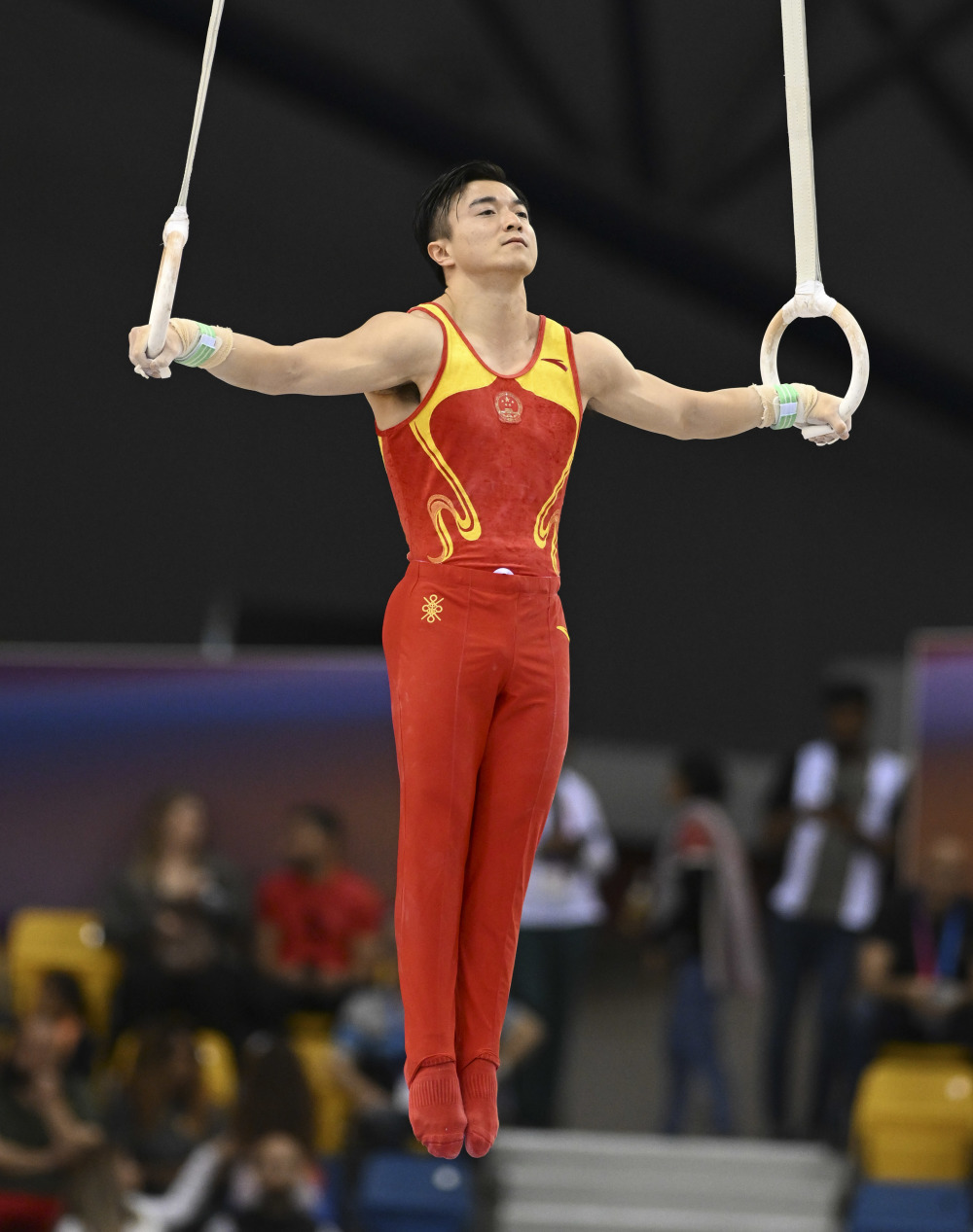 (体育)体操——世界杯多哈站:刘洋吊环夺冠(2)_腾讯新闻