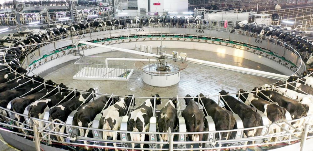 优然牧业2022年营收180.51亿元 四支业务均实现超双位数增长_腾讯新闻