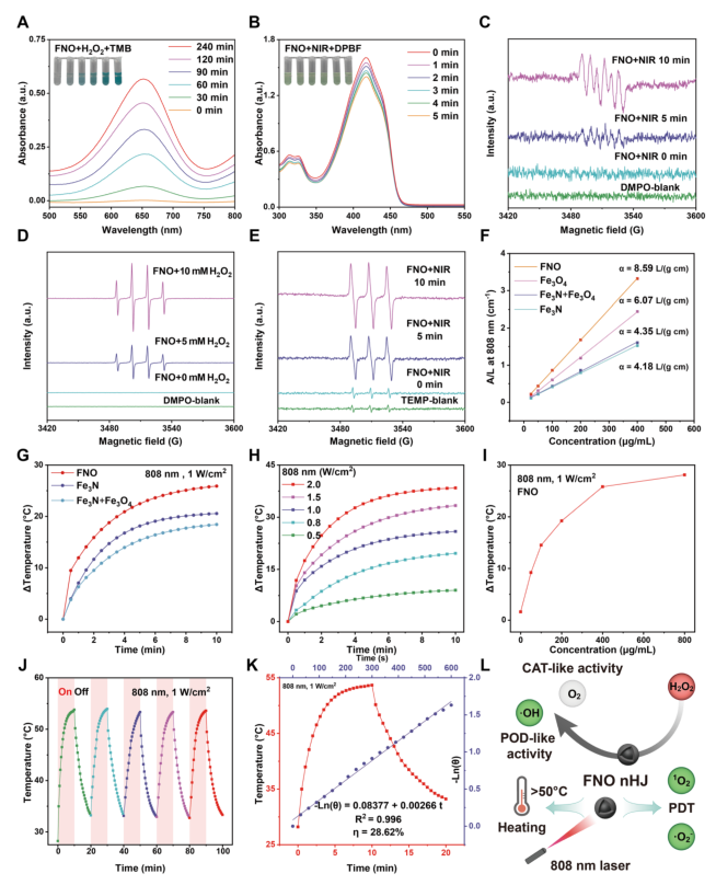 抗菌敷料有哪些西安交大AM：新型自进化水凝胶敷料，为感染性糖尿病伤口愈合提供时空精准调控新策略_https://www.jmylbn.com_新闻资讯_第4张