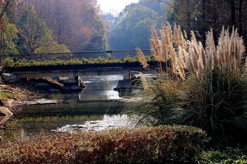 回暖啦長寧這座郊野公園換上冬裝等你來打卡