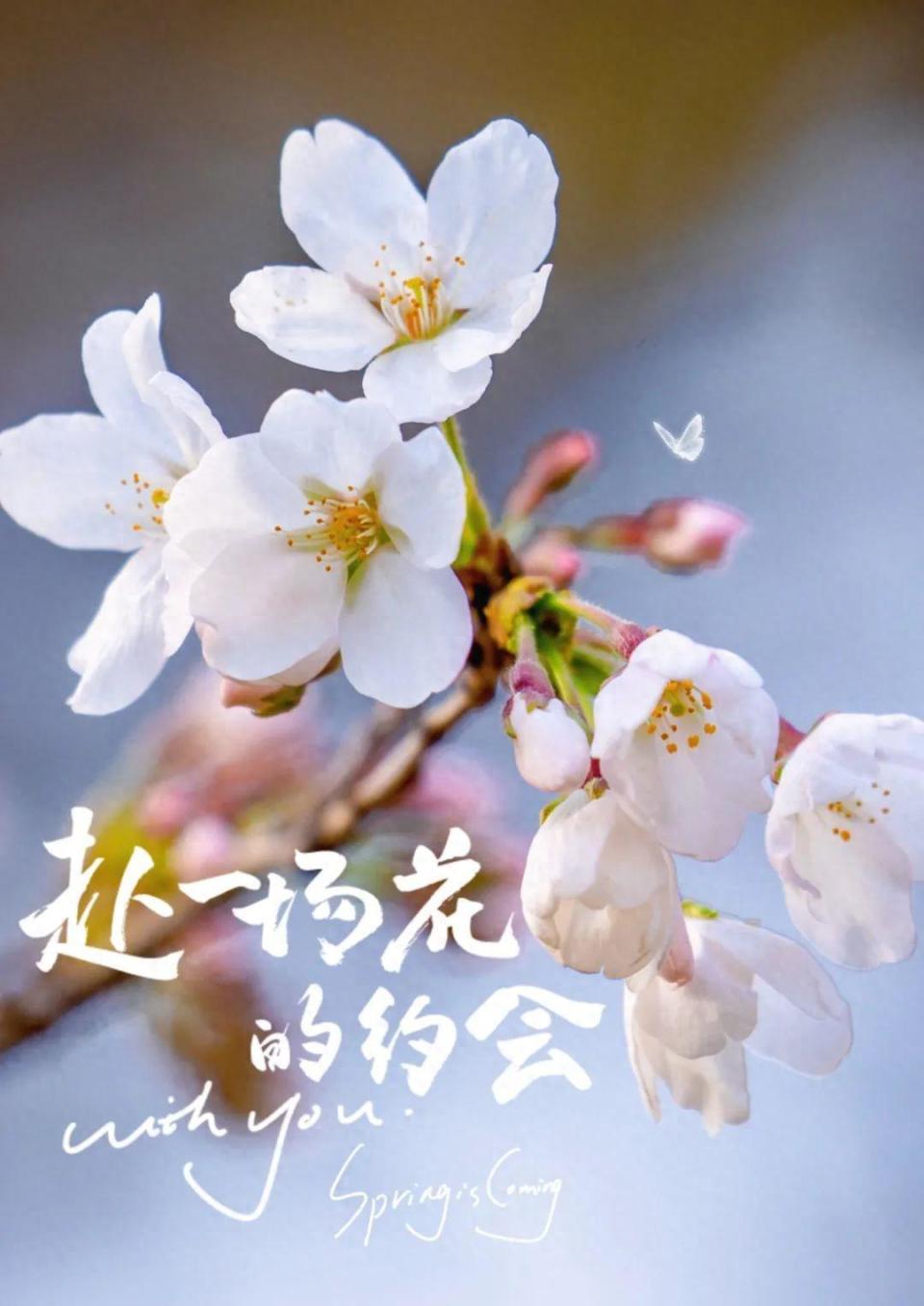 腾讯新闻