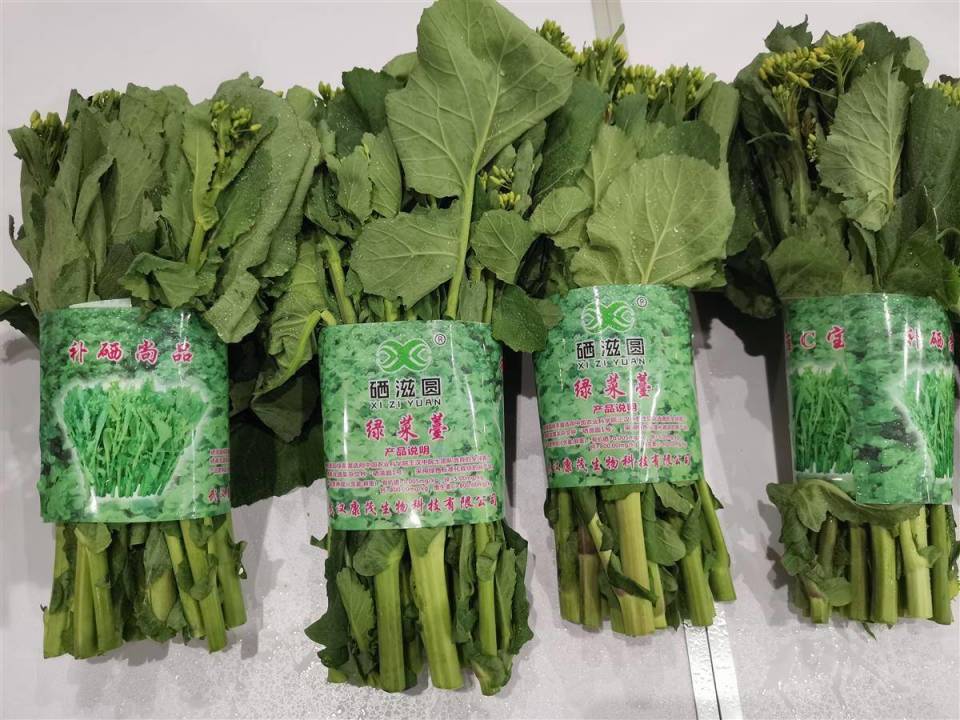 非富硒土壤长出富硒油菜薹 中油所生物合成技术开辟有机硒获取新途径_腾讯新闻