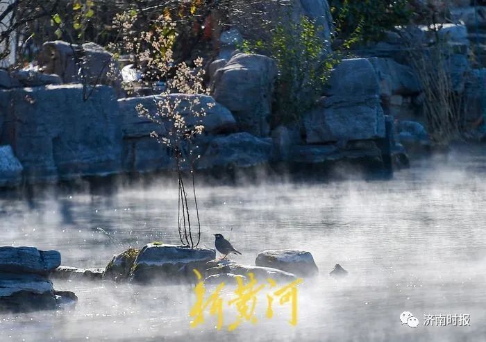 預計今明兩天極端低溫天氣仍將持續,預計今天早晨氣溫達到最低,商河縣