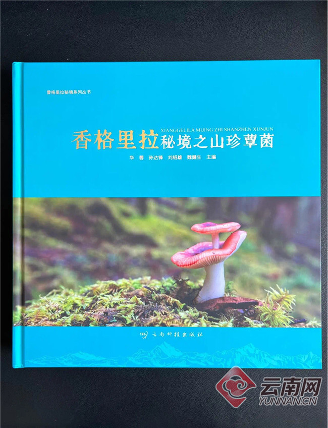 图片
