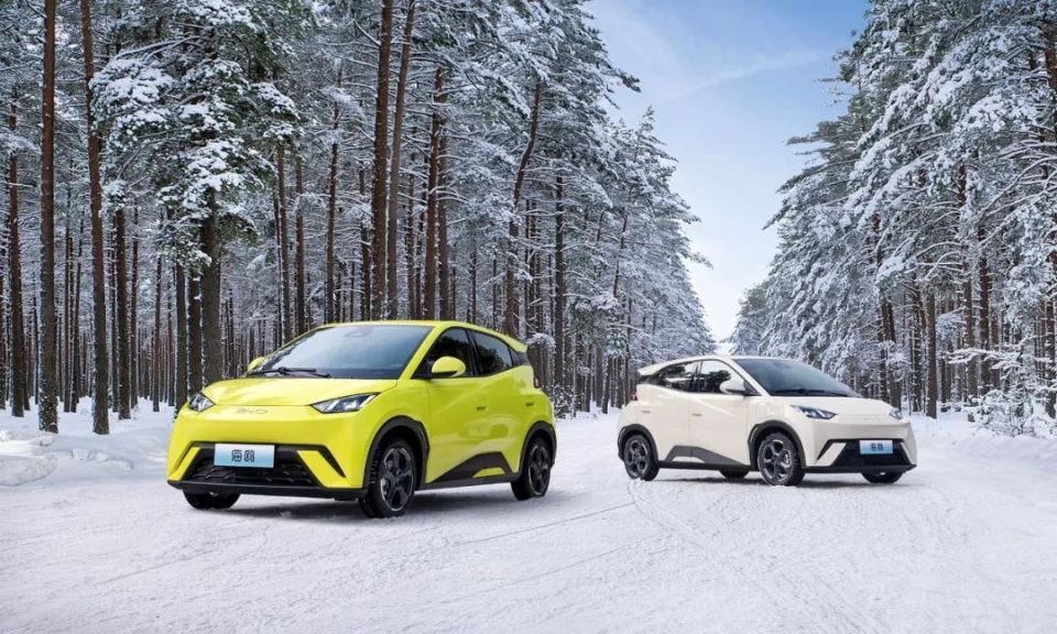 "海鸥高飞 海豚入水"——经济型纯电动车刚需有多强?