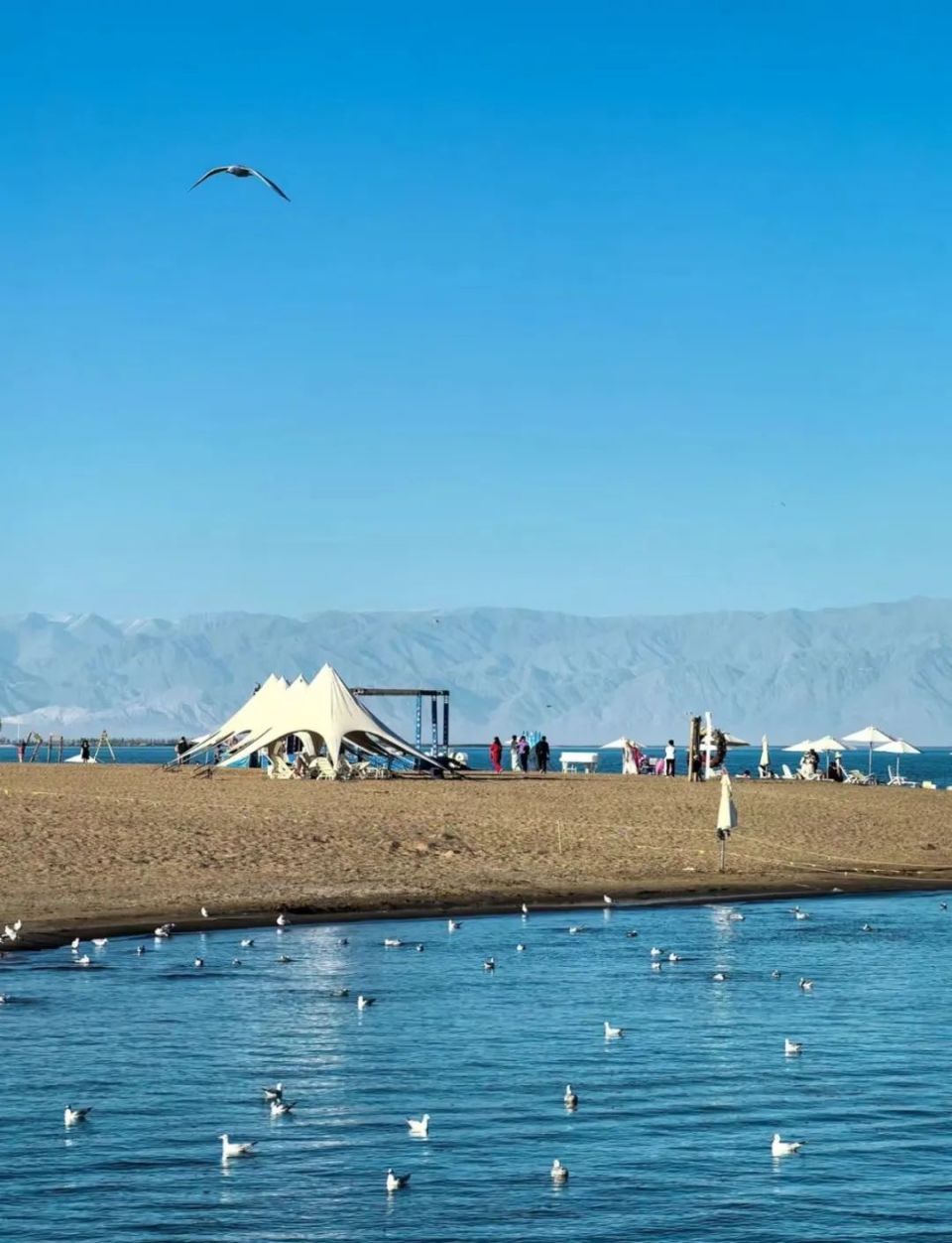 部分景区免首道门票!