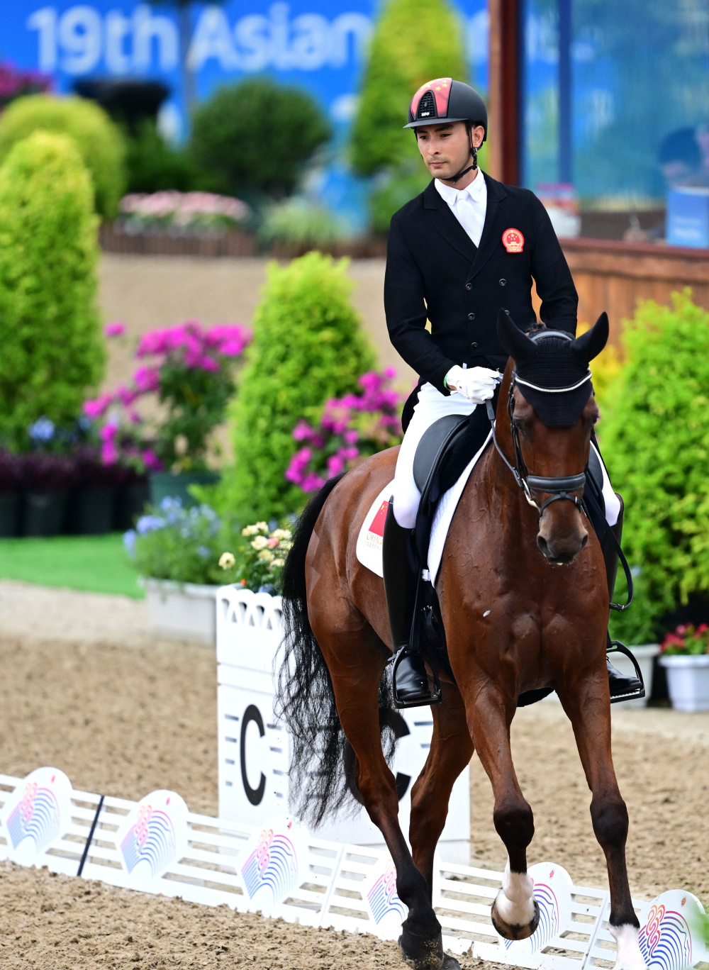马术——中国选手华天亮相亚运马术赛场-腾讯新闻