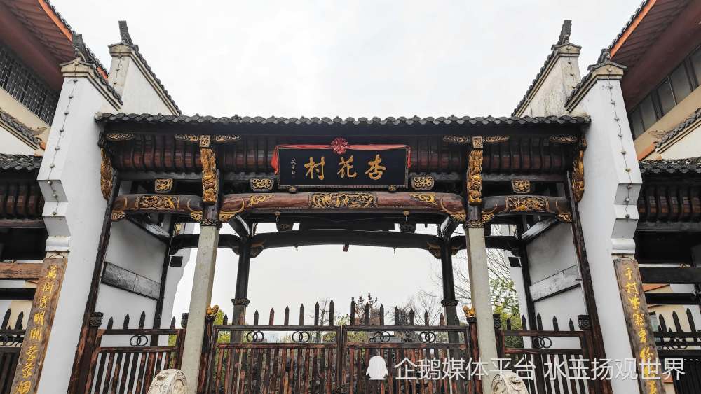 在广大池州人的心中仍然住着一个杜牧,一位带领大家来到梦中杏花园