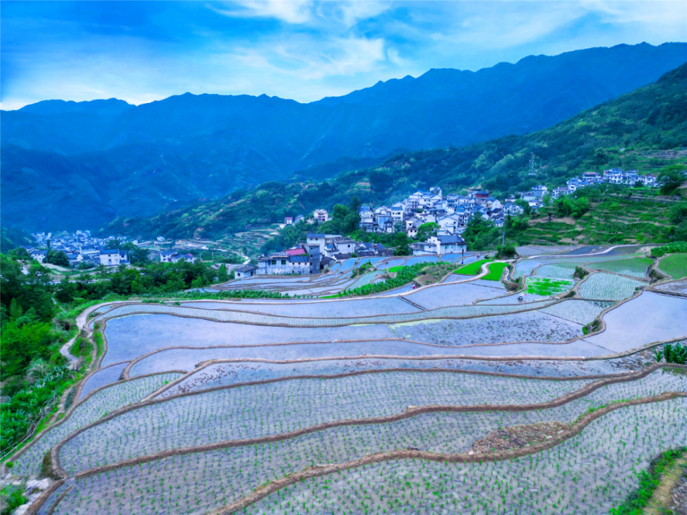【早安,黄山】长三角地区职工疗休养交流协作暨"我在大黄山疗休养"