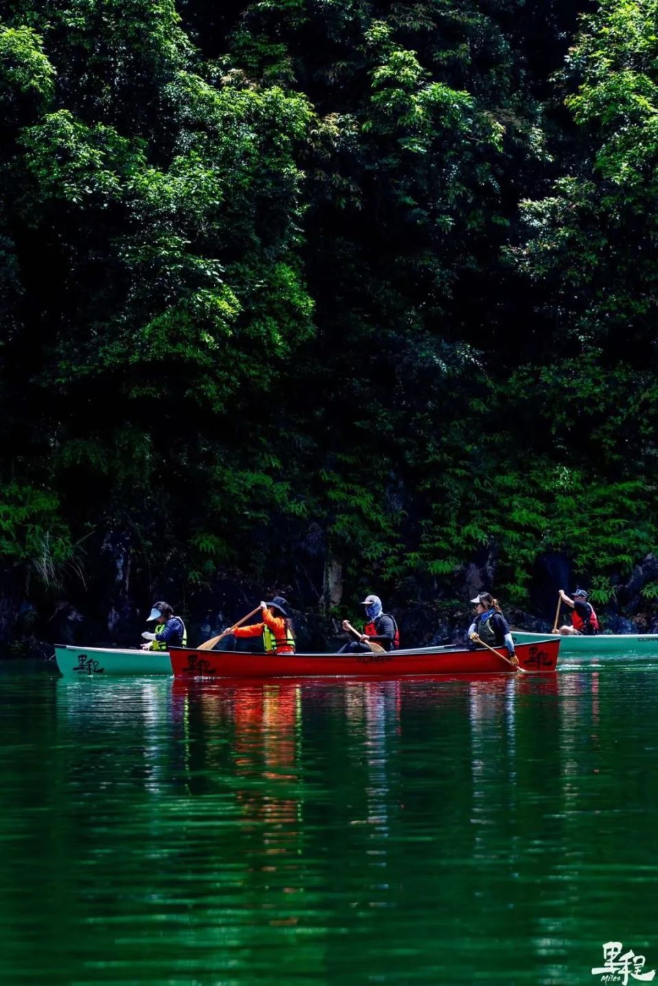 不跟你们卷了,我先划水了