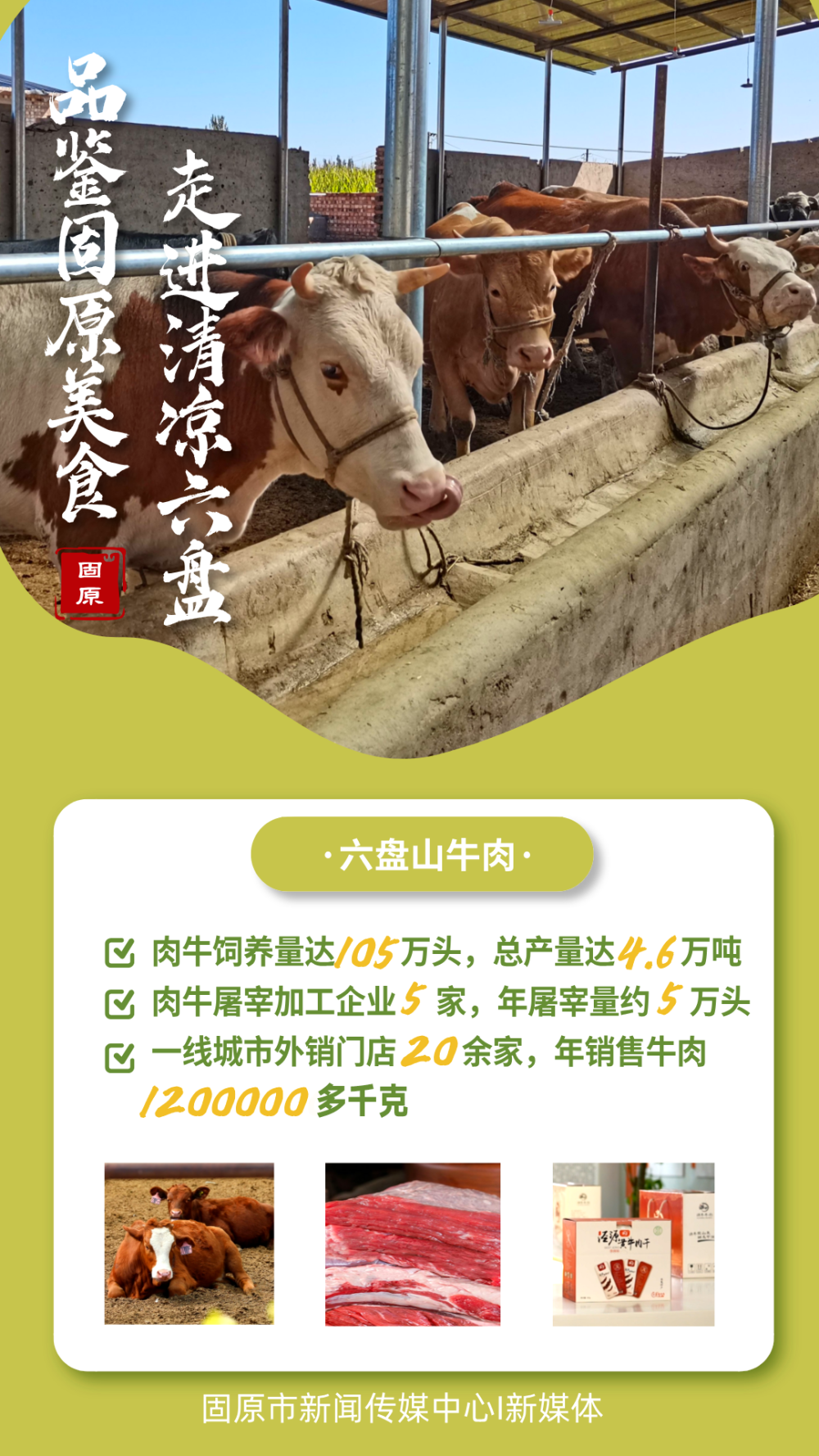 走进清凉六盘·品鉴固原美食 | 固原这些特色优品,顶好!