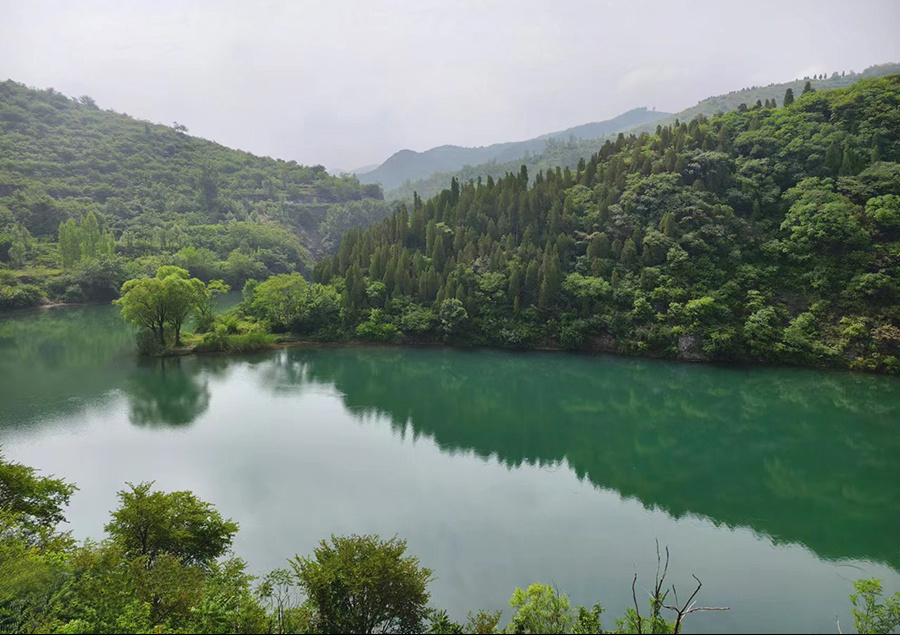 今年,该区高质量举办全区旅游发展大会,持续擦亮"陶风琉韵 休闲博山"