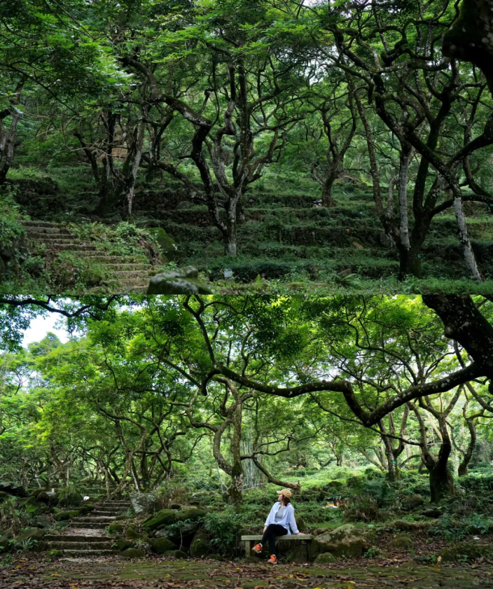 小红书@好多婵/摄@hey/摄古梯田层级分明,视野开阔,青翠欲滴宛如进入