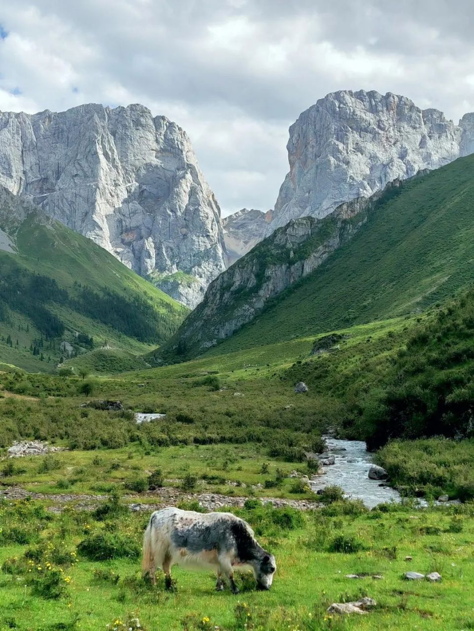 位于卓尼县卡车沟深处,是光盖山的主峰,海拔4663米,是甘南的第二高峰