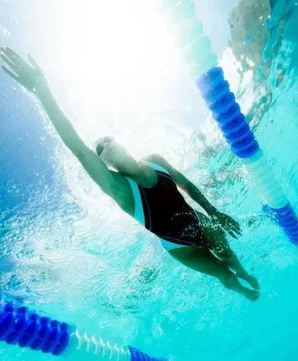 技巧 | 自由泳长游的省力之道