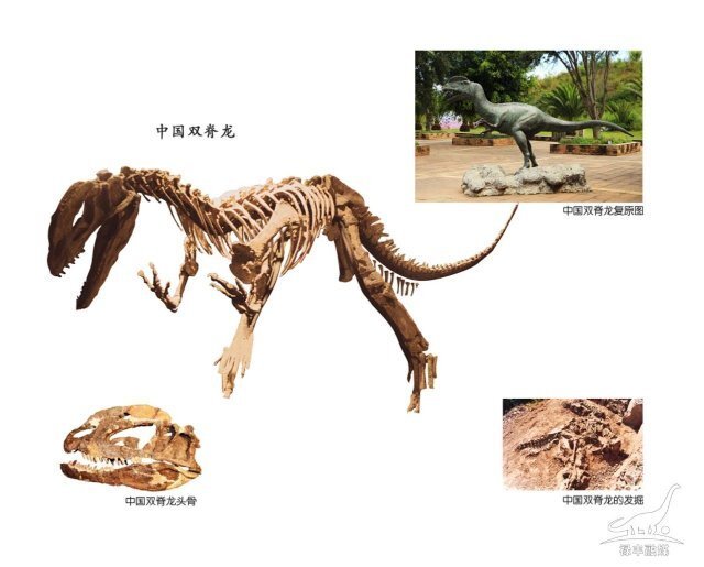 开屏策划|云南寻"龙"迹