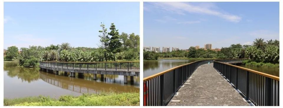 绿树,流水今年1月,鹤山工业城(共和镇)投入1000万元对共和生态公园