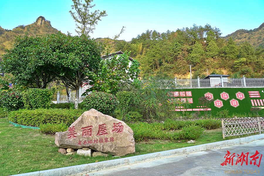 新桥镇:红色沃土兴文旅  产业融合写振兴