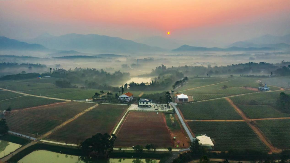 艺术有约台山四九镇艺术嘉年华将于4月13日14日举行