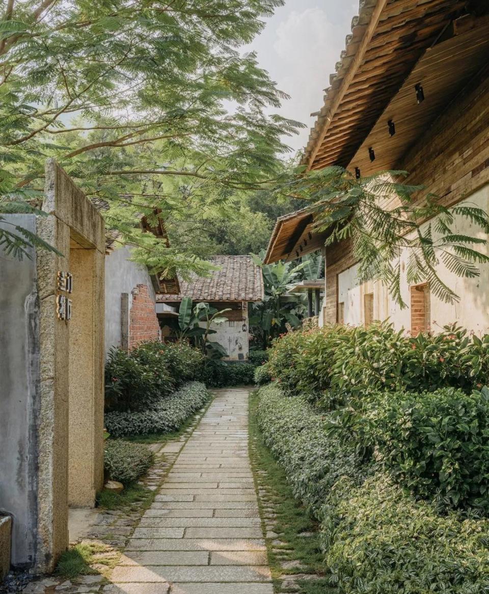 惠州博罗这个曾经的空心村华丽变身,民宿项目荣获两项国际大奖