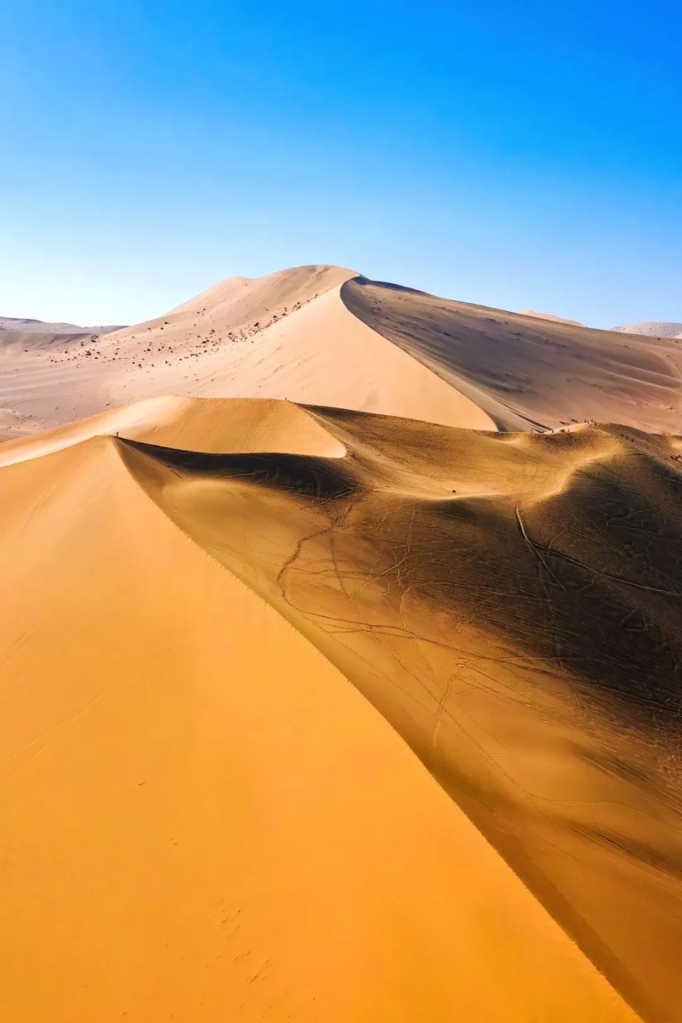 去沙漠里游泳吧