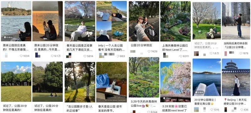 该研究显示,每天在户外待上一小段时间能够让人感到更加快乐,即便不做