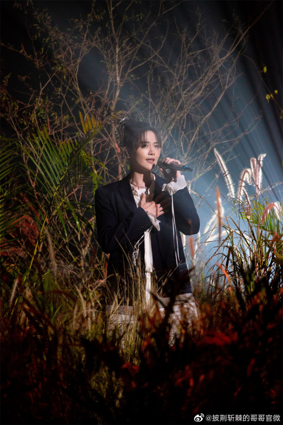 看那颗星星,正在发光(17)